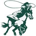 College logo